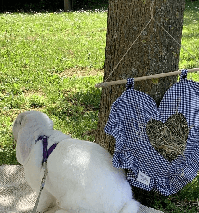 Sac à foin cœur "vichy"