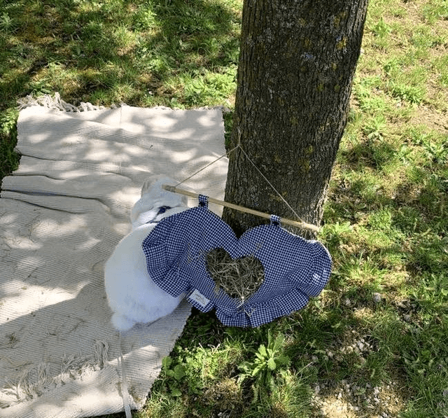 Sac à foin cœur "vichy"